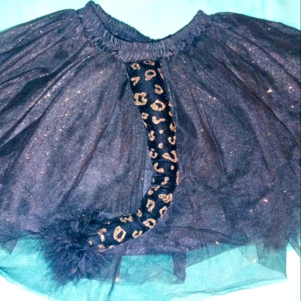 Pottery Barn Kids Tutu with Tail